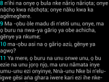 Igbo Bible Screenshot